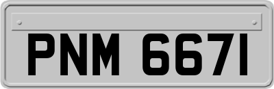 PNM6671