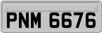 PNM6676