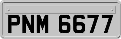 PNM6677