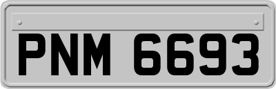 PNM6693