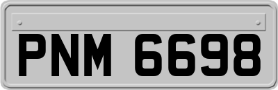 PNM6698