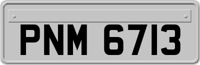 PNM6713