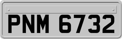 PNM6732
