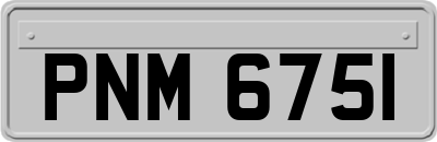 PNM6751