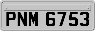 PNM6753