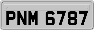 PNM6787