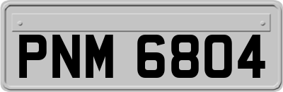 PNM6804