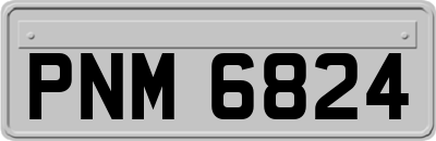 PNM6824