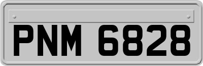 PNM6828
