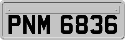 PNM6836