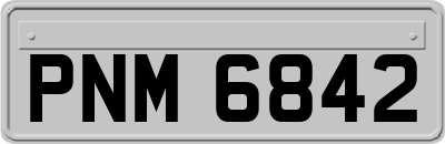 PNM6842