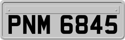 PNM6845