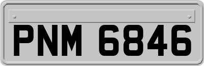 PNM6846