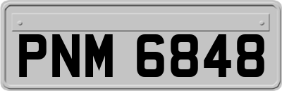 PNM6848