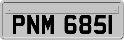 PNM6851