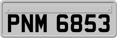 PNM6853
