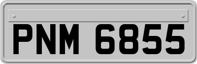 PNM6855