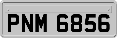 PNM6856
