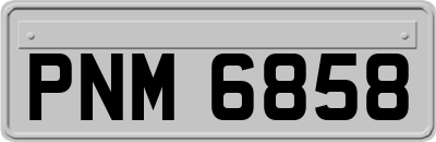 PNM6858