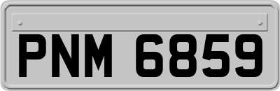 PNM6859