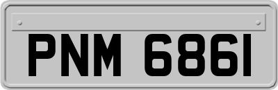 PNM6861