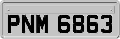 PNM6863