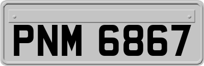 PNM6867