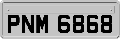 PNM6868