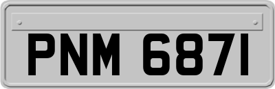 PNM6871