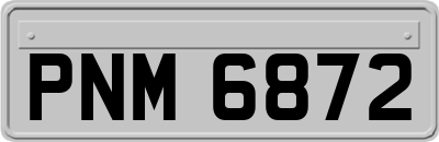 PNM6872