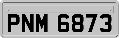 PNM6873