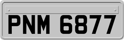 PNM6877