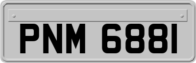 PNM6881