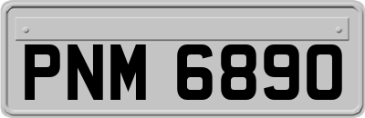 PNM6890