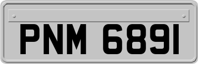 PNM6891