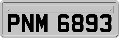 PNM6893
