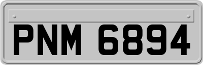 PNM6894