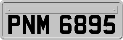 PNM6895