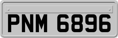 PNM6896