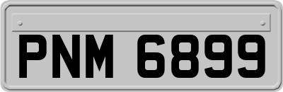 PNM6899