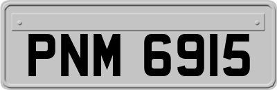 PNM6915