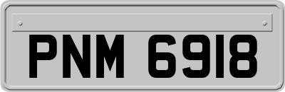 PNM6918