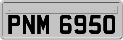 PNM6950