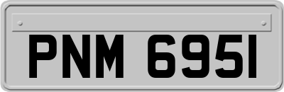 PNM6951