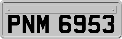 PNM6953