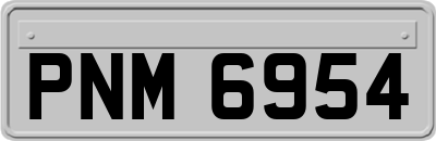 PNM6954