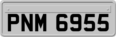 PNM6955