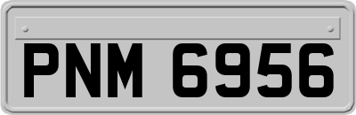 PNM6956