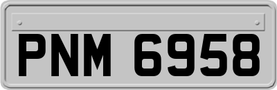 PNM6958