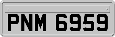 PNM6959